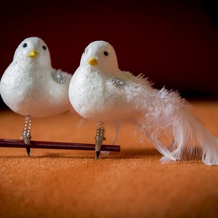 Two White Pigeons Villa Ypres Room photo