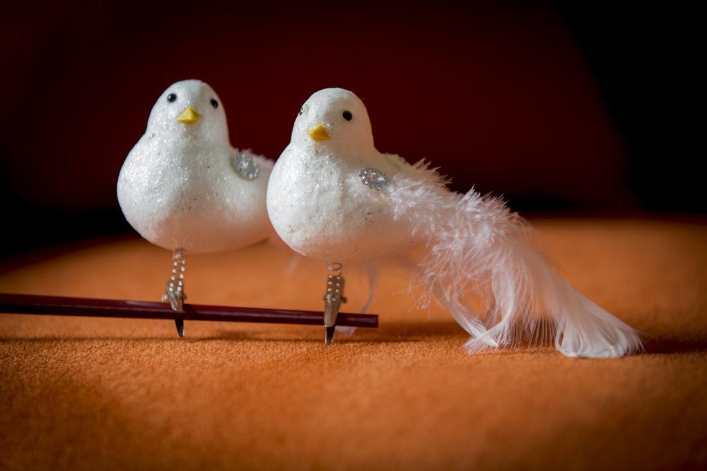 Two White Pigeons Villa Ypres Room photo